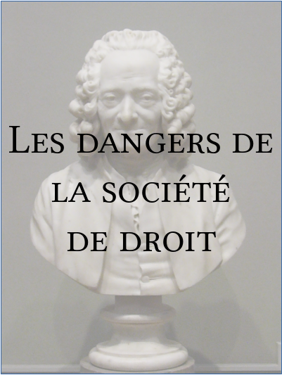 les_dangers_de_la_societe_de_droit_buste_de_voltaire_philosophie_lumieres